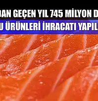 Muğla'dan geçen yıl 745 milyon dolarlık su ürünleri ihracatı yapıldı