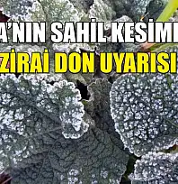 Muğla'nın sahil kesimlerine zirai don uyarısı