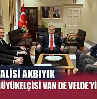 Muğla Valisi Akbıyık, Belçika Büyükelçisi Van de Velde'yi ağırladı