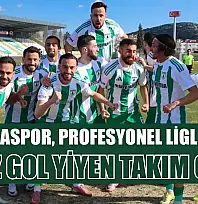 Muğlaspor, Profesyonel Liglerde En Az Gol Yiyen Takım Oldu