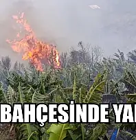 Muz bahçesinde yangın