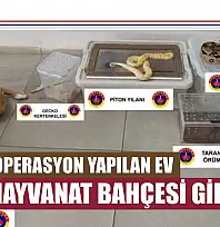 Operasyon yapılan ev hayvanat bahçesi gibi çıktı