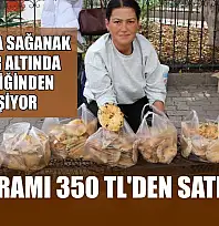 Ormanda sağanak yağmur altında kendiliğinden yetişiyor, kilogramı 350 TL'den satılıyor