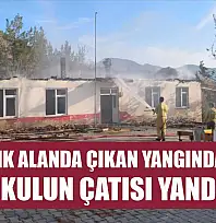 Ormanlık alanda çıkan yangında eski okulun çatısı yandı
