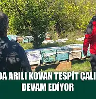 Ortaca'da Arılı Kovan Tespit Çalışmaları Devam Ediyor