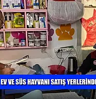 Ortaca'da ev ve süs hayvanı satış yerlerinden denetim