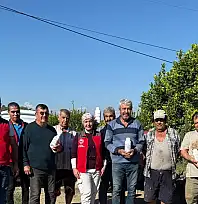 Ortaca'da narenciye bahçelerinde zararlılara karşı mücadele sürüyor