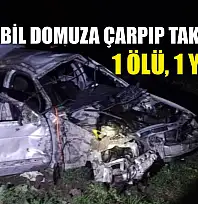 Otomobil domuza çarpıp takla attı: 1 ölü, 1 yaralı