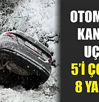 Otomobil kanala uçtu: 5'i çocuk 8 yaralı