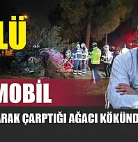 Otomobil, takla atarak çarptığı ağacı kökünden söktü: 1 ölü