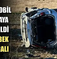 Otomobil tarlaya devrildi: 1'i bebek 5 yaralı