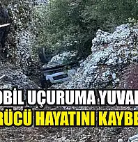 Otomobil uçuruma yuvarlandı, sürücü hayatını kaybetti