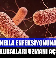Salmonella enfeksiyonuna karşı altın kuralları uzmanı açıkladı