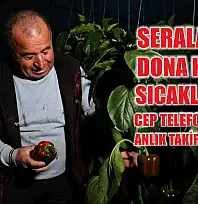 Seralarda dona karşı sıcaklıklar cep telefonundan anlık takip ediliyor