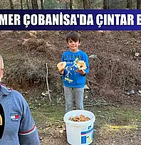 Seydikemer Çobanisa'da Çıntar Bereketi