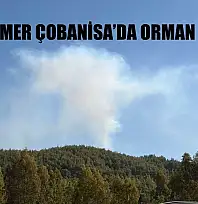 Seydikemer Çobanisa'da Orman Yangını