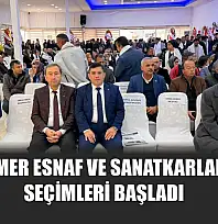 Seydikemer Esnaf ve Sanatkarlar Odası seçimleri başladı