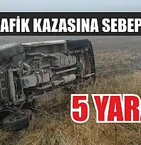 Sis trafik kazasına sebep oldu: 5 yaralı