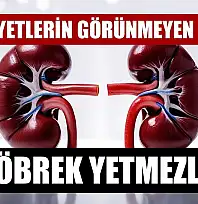 Şok diyetlerin görünmeyen bedeli: Böbrek Yetmezliği