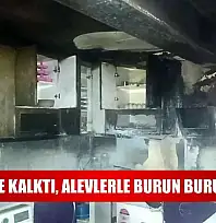 Su içmeye kalktı, alevlerle burun buruna geldi