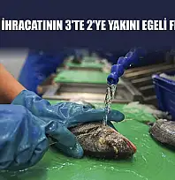 Su ürünleri ihracatının 3'te 2'ye yakını Egeli firmalardan