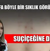 Suçiçeğine dikkat : 'İlk defa böyle bir sıklık görüyoruz'