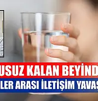 Susuz kalan beyinde hücreler arası iletişim yavaşlıyor
