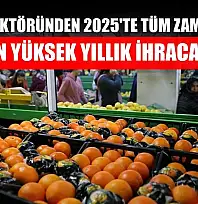 Tarım sektöründen 2025'te tüm zamanların en yüksek yıllık ihracatı