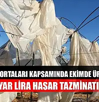 Tarım sigortaları kapsamında ekimde üreticilere 11,6 milyar lira hasar tazminatı ödendi