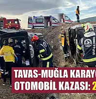Tavas-Muğla Karayolu'nda Otomobil Kazası: 2 yaralı