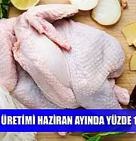 Tavuk eti üretimi Haziran ayında yüzde 16,2 azaldı