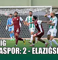 TFF 2. Lig: Muğlaspor: 2 - Elazığspor: 1