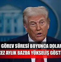 Trump'ın görev süresi boyunca dolar endeksi ilk kez aylık bazda yükseliş gösterdi