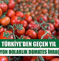 Türkiye'den geçen yıl 401 milyon dolarlık domates ihraç edildi
