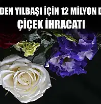 Türkiye'den yılbaşı için 12 milyon dolarlık çiçek ihracatı