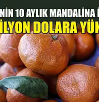 Türkiye'nin 10 aylık mandalina ihracatı 375 milyon dolara yükseldi