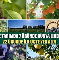 Türkiye tarımda 7 üründe dünya lideri oldu, 22 üründe ilk üçte yer aldı