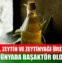 Türkiye, zeytin ve zeytinyağı üretiminde dünyada başaktör oldu