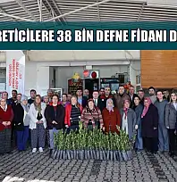 Ula'da üreticilere 38 bin defne fidanı dağıtıldı