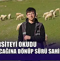 Üniversiteyi okudu, baba ocağına dönüp sürü sahibi oldu