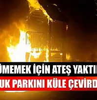 Üşümemek için ateş yaktılar, çocuk parkını küle çevirdiler