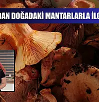 Uzmanından doğadaki mantarlarla ilgili uyarı