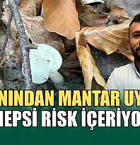 Uzmanından mantar uyarısı: 'Hepsi risk içeriyor'