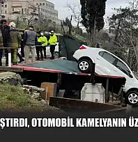 Vitesi karıştırdı, otomobil kamelyanın üzerine uçtu
