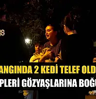 Yangında 2 kedi telef oldu, sahipleri gözyaşlarına boğuldu