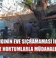 Yangının eve sıçramaması için alevlere hortumlarla müdahale ettiler