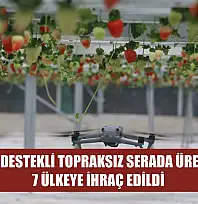 Yapay zeka destekli topraksız serada üretilen çilek 7 ülkeye ihraç edildi