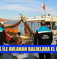 Yasak ağ ile avlanan balıklara el konuldu