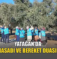 Yatağan'da zeytin hasadı ve bereket duası yapıldı