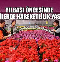 Yılbaşı öncesinde çiçekçilerde hareketlilik yaşanıyor